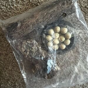 *NEW* Reptile Habitat Accessories Set